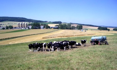 Milchviehanlage Eibau